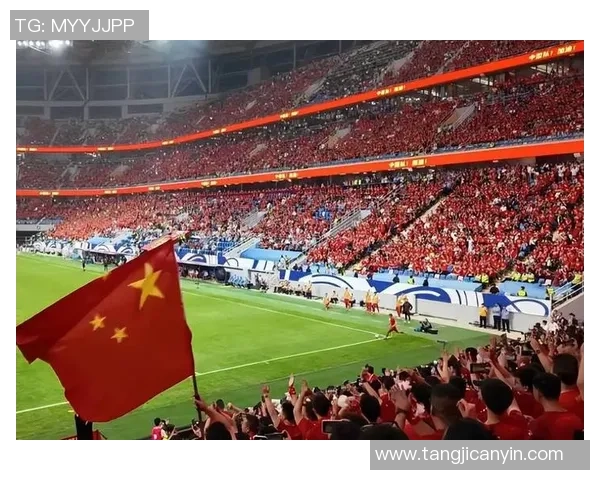 日韩足球高光球星盘点：日本和韩国代表性球员的辉煌成就与影响力